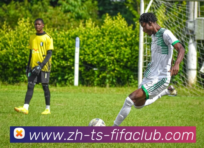 App Interface Preview