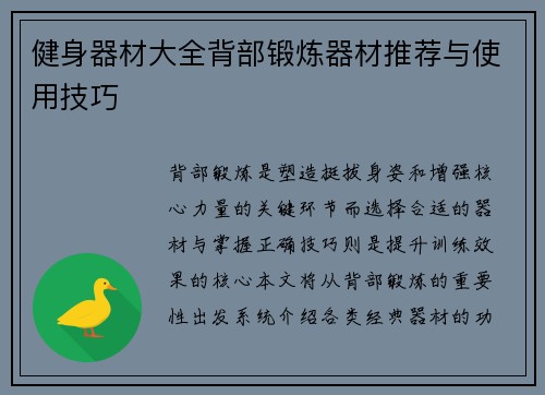 健身器材大全背部锻炼器材推荐与使用技巧