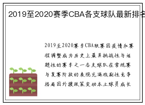 2019至2020赛季CBA各支球队最新排名